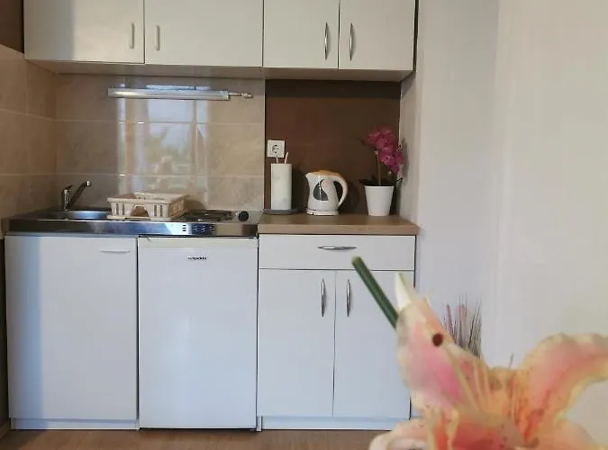 Apartment Matovina * Zadar