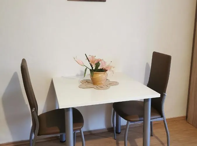 Apartment Matovina *